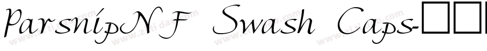 ParsnipNF Swash Caps字体转换